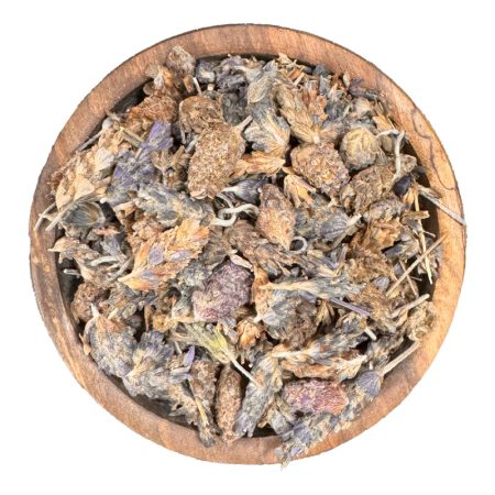 اسطوخودوس
