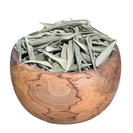 برگ زیتون