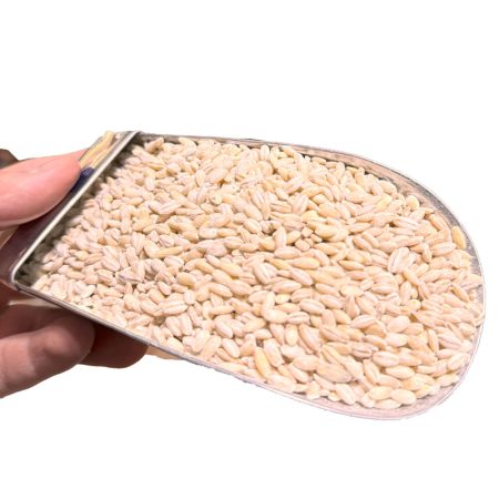 جو سوپ