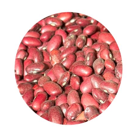 لوبیا قرمز