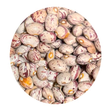 لوبیا چیتی