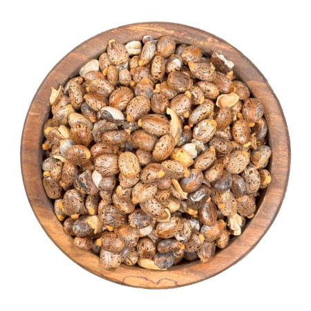 دانه کرچک