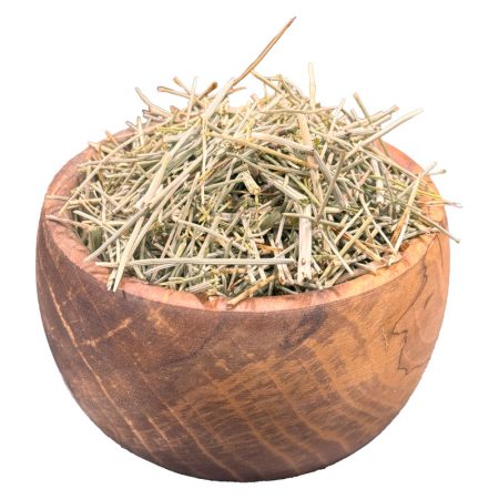 دم اسب