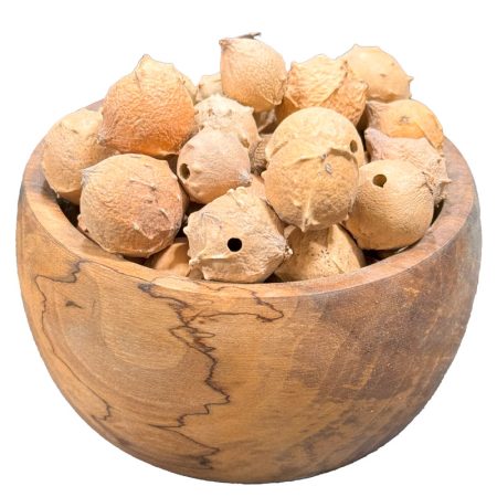 مازو ۱۰۰ گرم