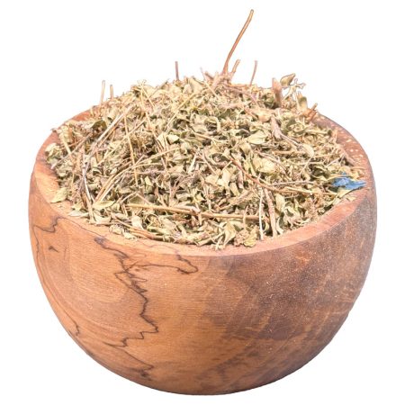 کاکوتی